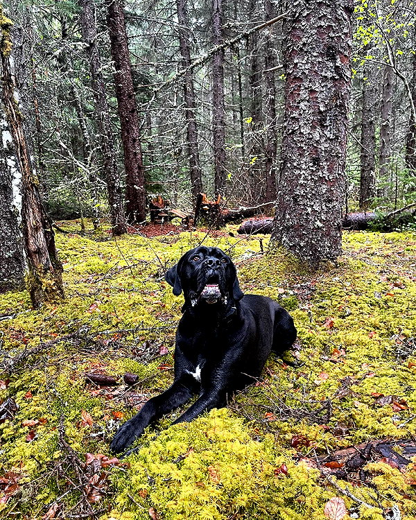 e1or4 instagram image archive image