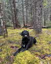 e1or4 Altpins Profile Picture