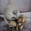 e1or4 Altpins Profile Picture