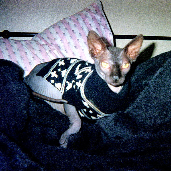 e1or4 instagram image archive image