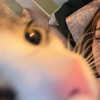 edenwilliams.xox Altpins Profile Picture