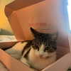 edenwilliams.xox Altpins Profile Picture