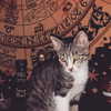 edin.karyn Altpins Profile Picture