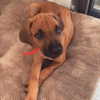 edin.karyn Altpins Profile Picture