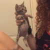 edin.karyn Altpins Profile Picture