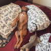 edin.karyn Altpins Profile Picture