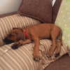 edin.karyn Altpins Profile Picture