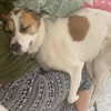 edin.karyn Altpins Profile Picture