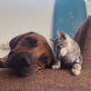 edin.karyn Altpins Profile Picture