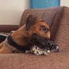edin.karyn Altpins Profile Picture