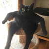 edin.karyn Altpins Profile Picture