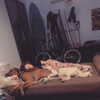 edin.karyn Altpins Profile Picture