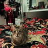 edin.karyn Altpins Profile Picture