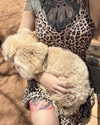 edin.karyn Altpins Profile Picture
