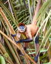 edin.karyn Altpins Profile Picture