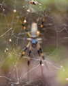 edin.karyn Altpins Profile Picture