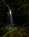 elebertoli Altpins Profile Picture