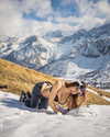 elebertoli Altpins Profile Picture