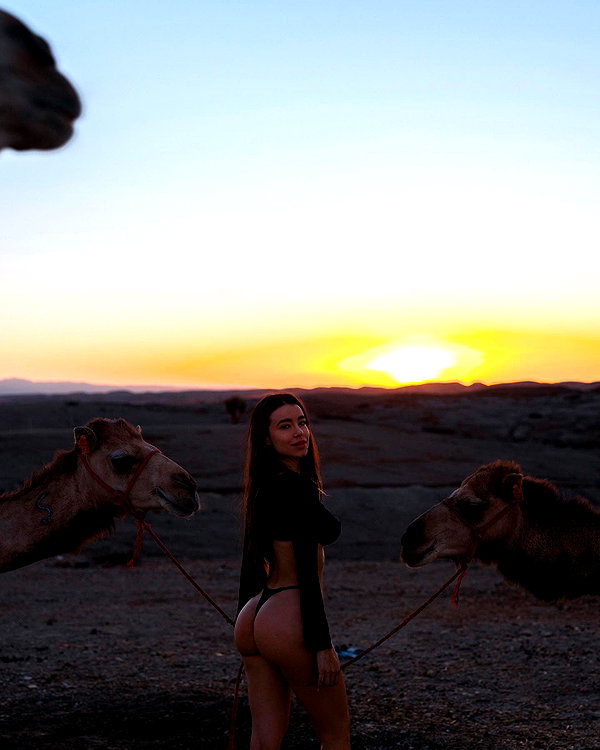 elebertoli instagram image archive image