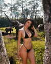 elebertoli Altpins Profile Picture