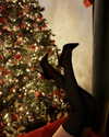 eleytheria_manesi Altpins Profile Picture