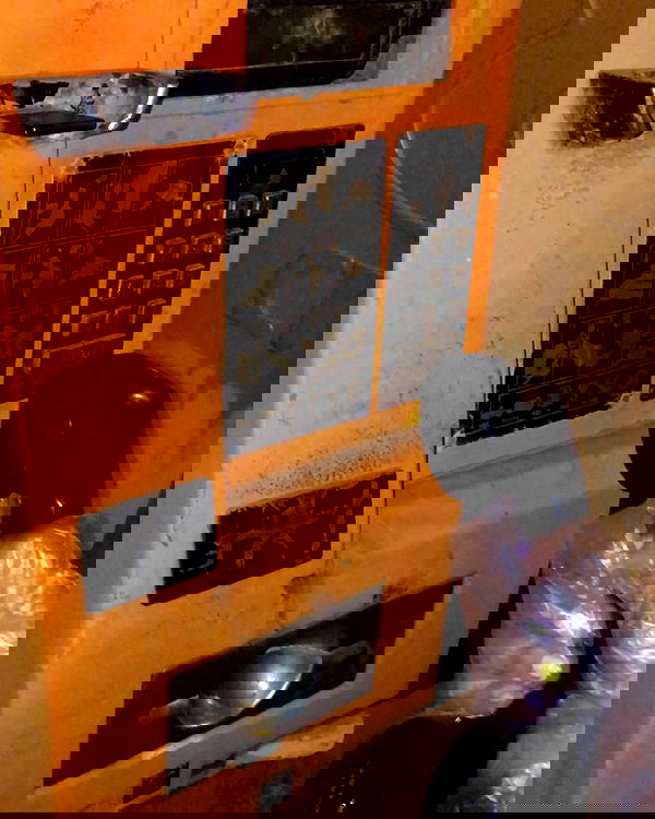 elianachetrit image ~ Altpins