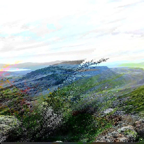 elianachetrit image ~ Altpins