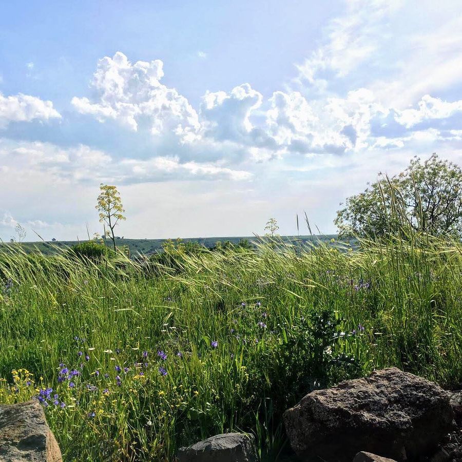 elianachetrit instagram image archive image