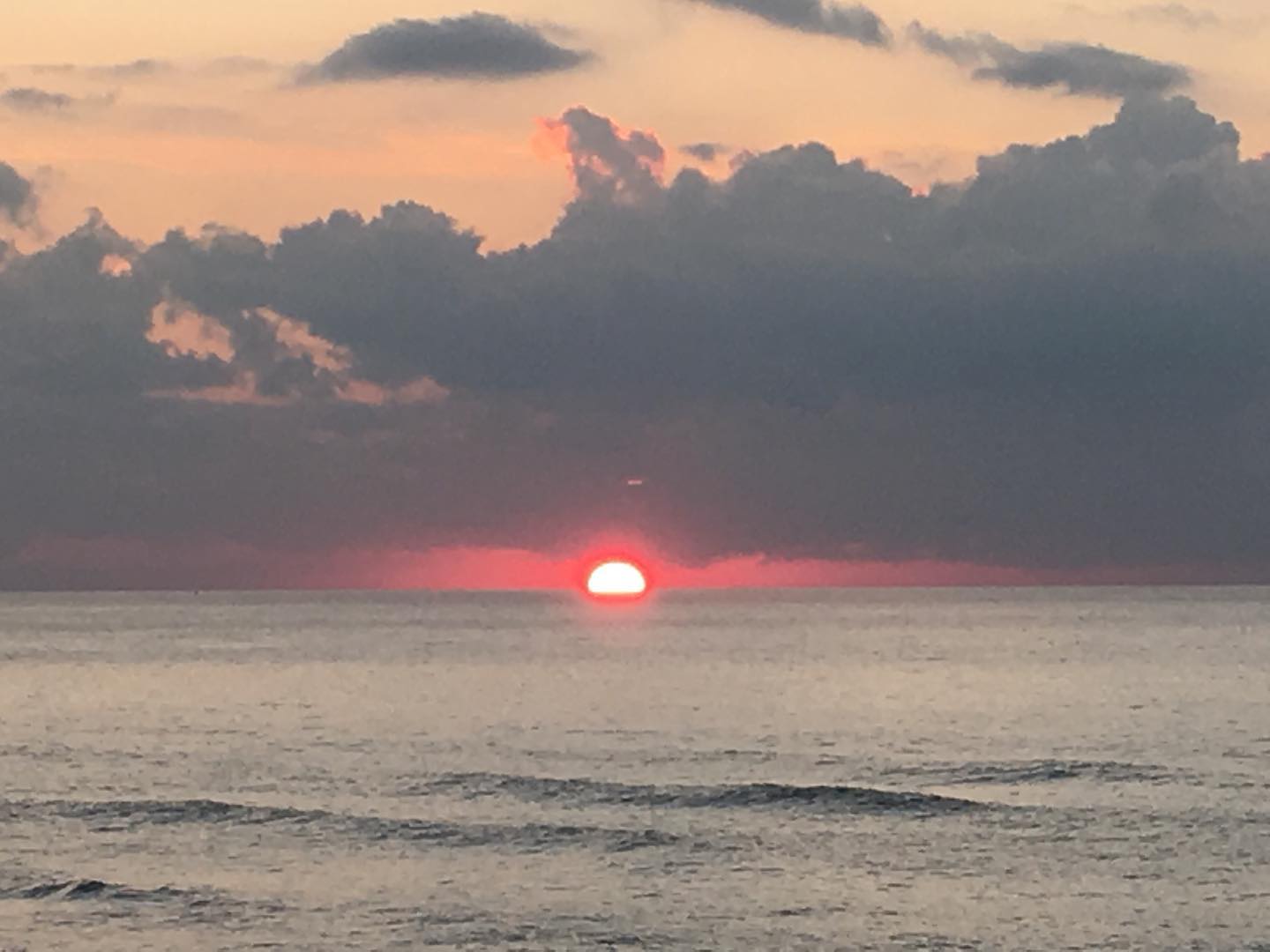 elianachetrit instagram image archive image