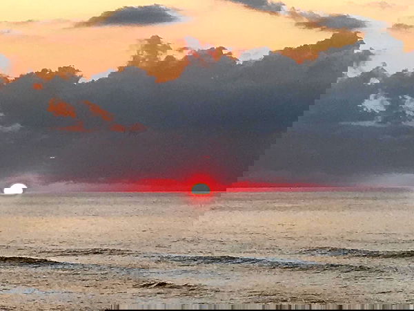 elianachetrit image ~ Altpins