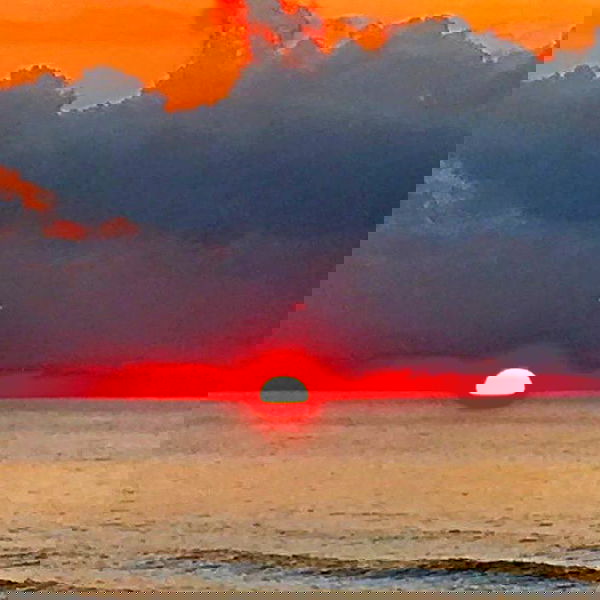 elianachetrit image ~ Altpins