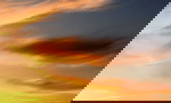 elianachetrit image ~ Altpins