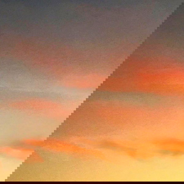 elianachetrit image ~ Altpins