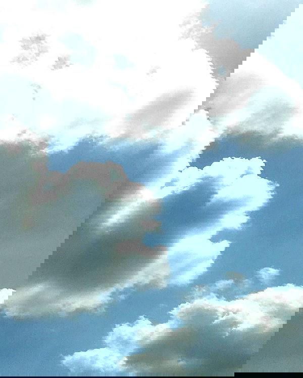 elianachetrit image ~ Altpins