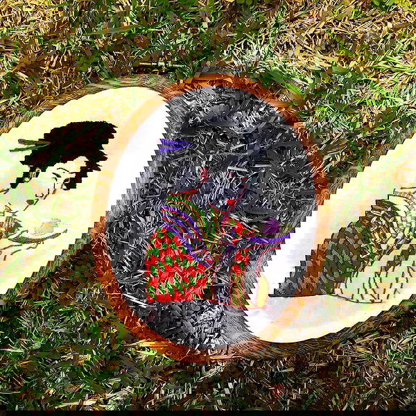 elianachetrit image ~ Altpins