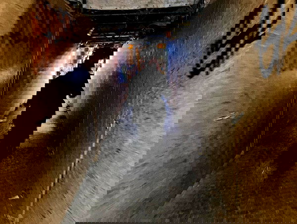 elianachetrit image ~ Altpins