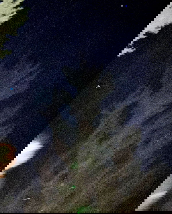 elianachetrit image ~ Altpins