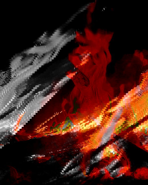 elianachetrit image ~ Altpins