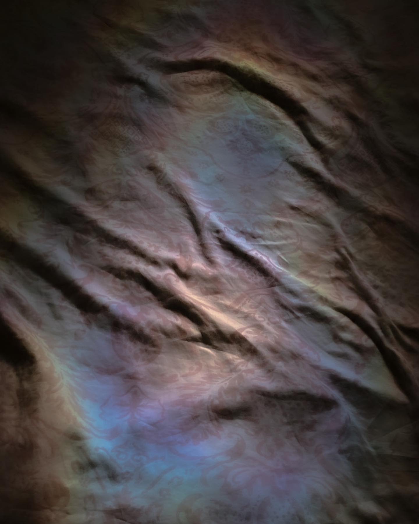 elianachetrit instagram image archive image