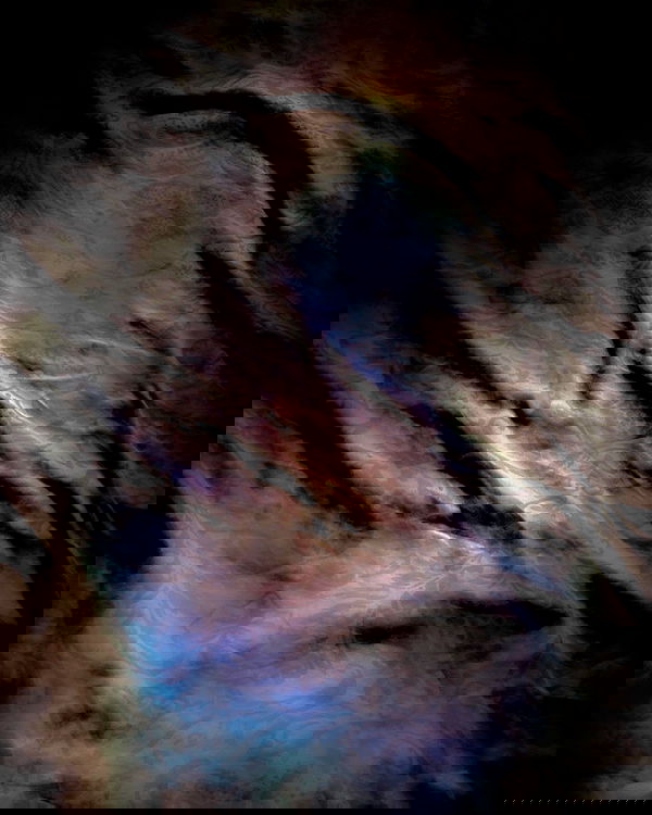 elianachetrit image ~ Altpins