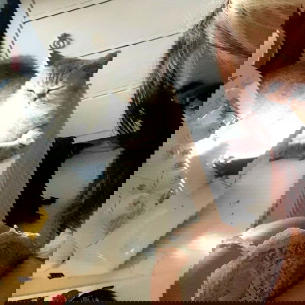 elianachetrit image ~ Altpins