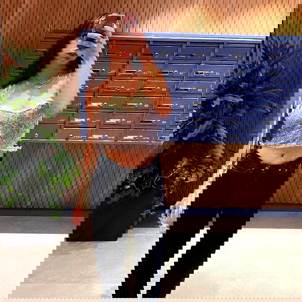 elianachetrit image ~ Altpins