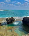 ella_netzer8 Altpins Profile Picture