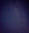 ella_netzer8 Altpins Profile Picture