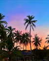ella_netzer8 Altpins Profile Picture
