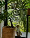 ella_netzer8 Altpins Profile Picture