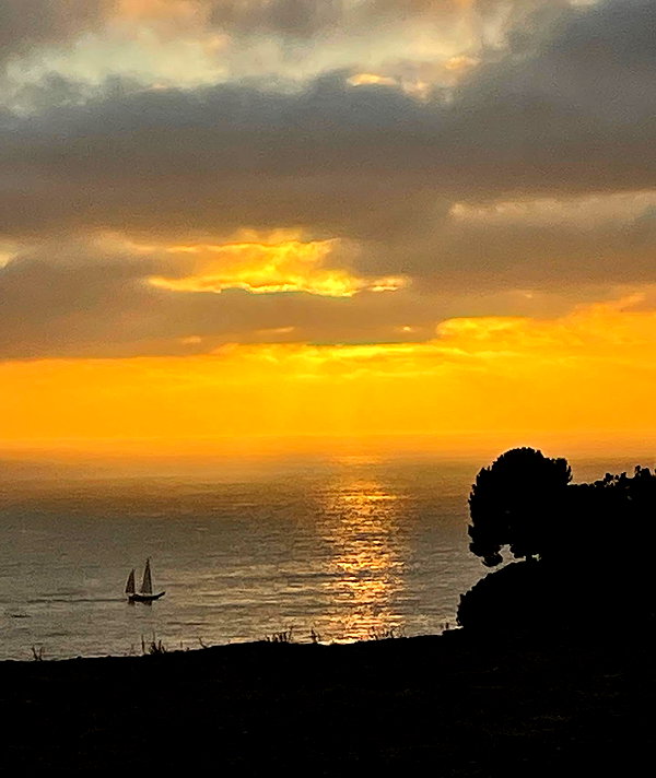 ellaailiff instagram image archive image