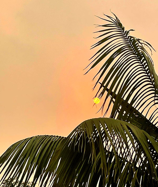 ellaailiff instagram image archive image