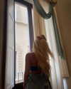 ellaailiff Altpins Profile Picture