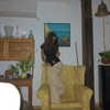ellameytes Altpins Profile Picture